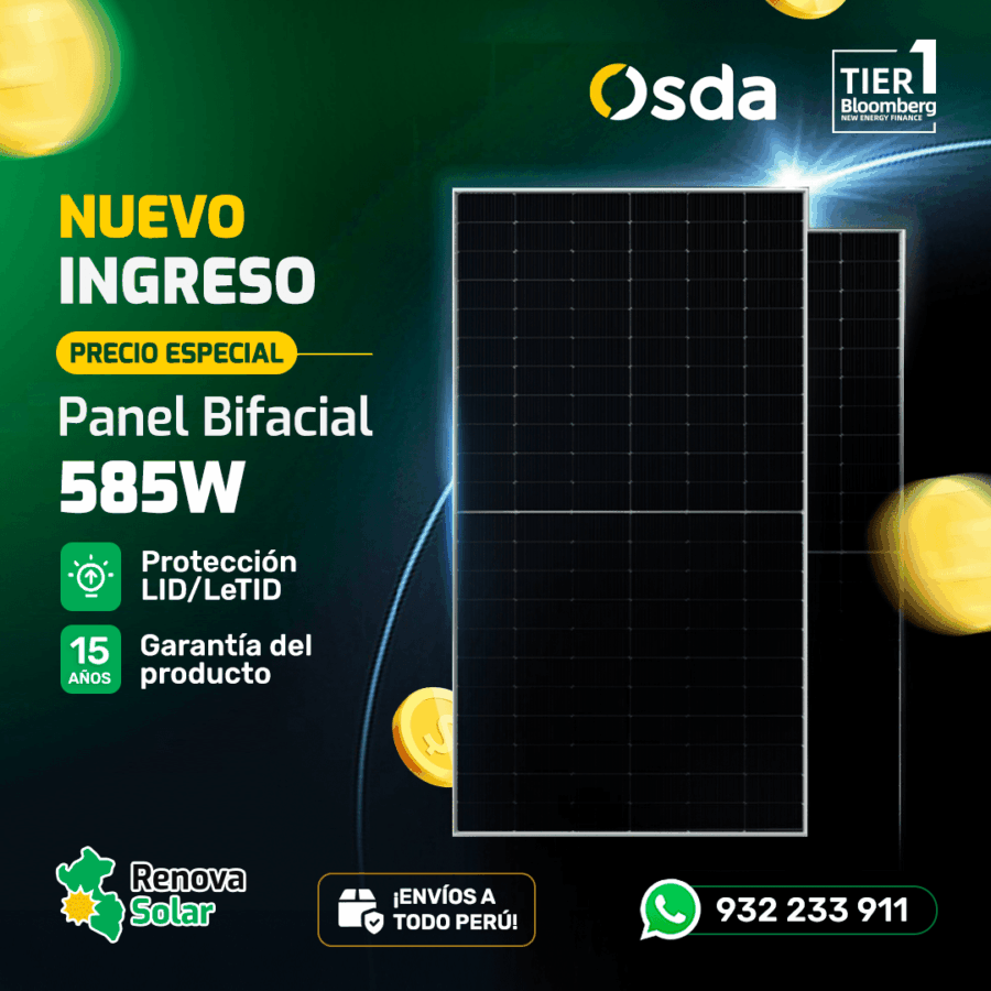 panel solar bifacial